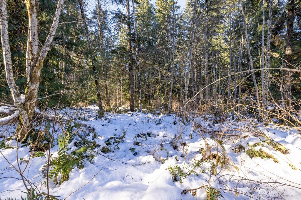 Photo of 0 Firestation Avenue NW, Seabeck, WA 98380 (MLS # 2468843)