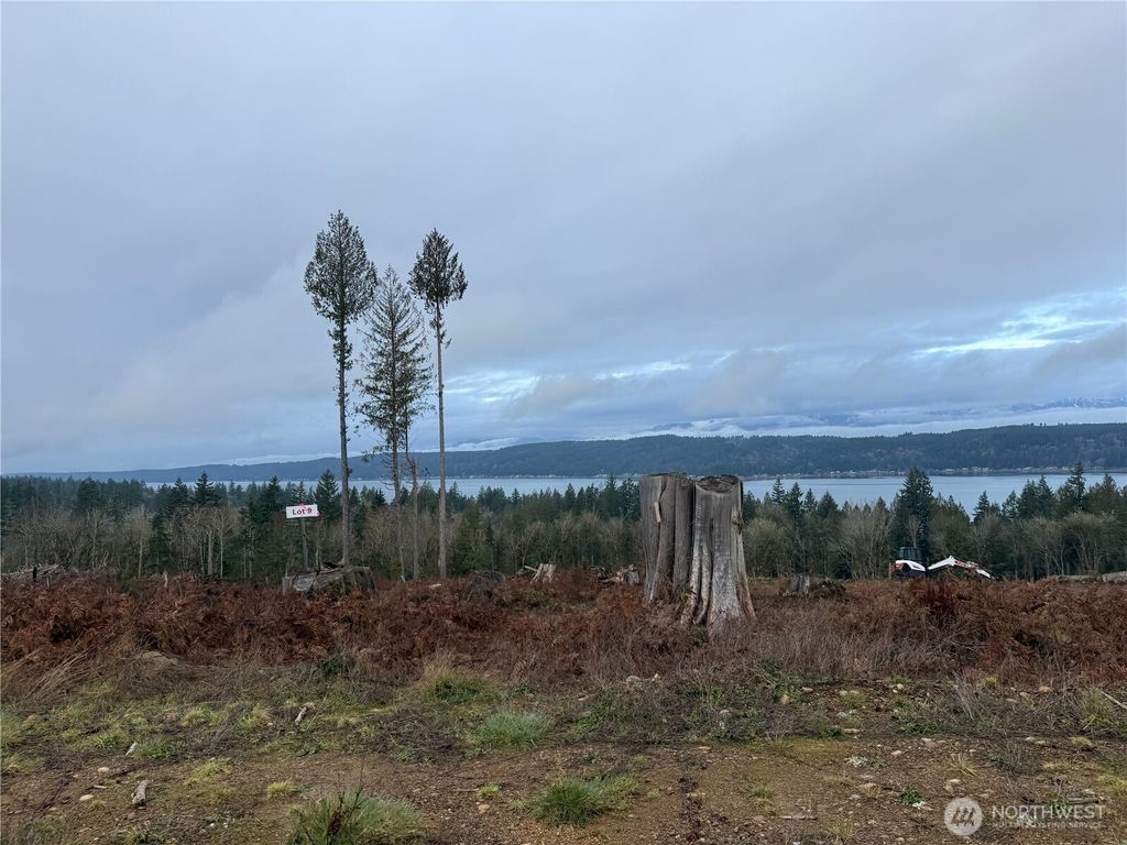 Photo of 2 Track RimStone Loop, Belfair, WA 98528 (MLS # 2480729)