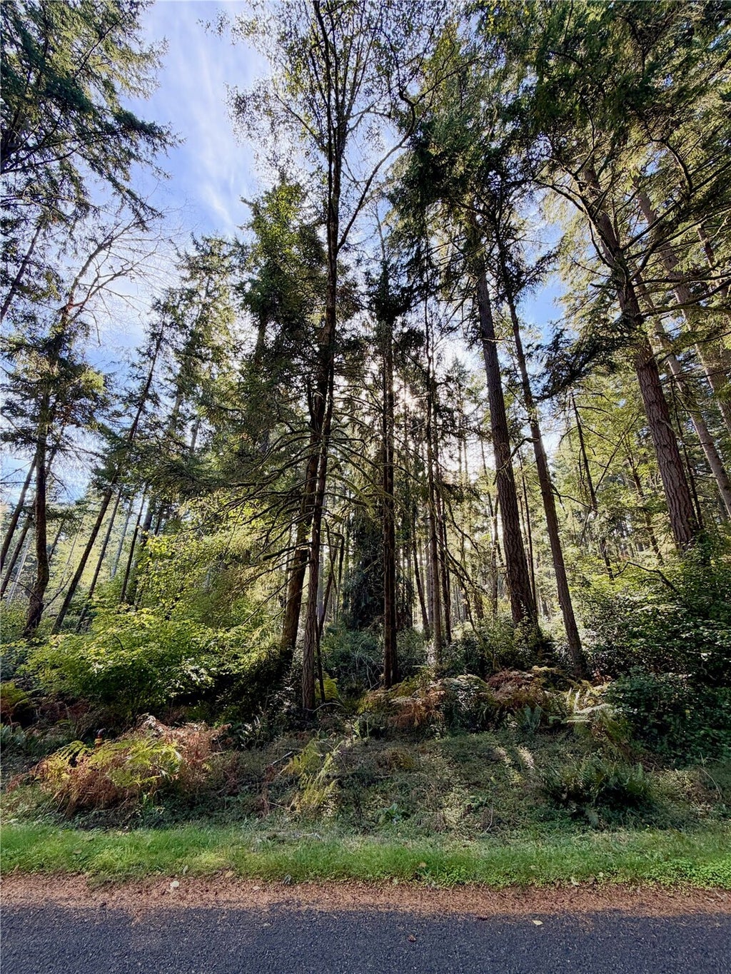 Photo of 11616 Country Club Dr. DR, Anderson Island, WA 98303 (MLS # 2596201)