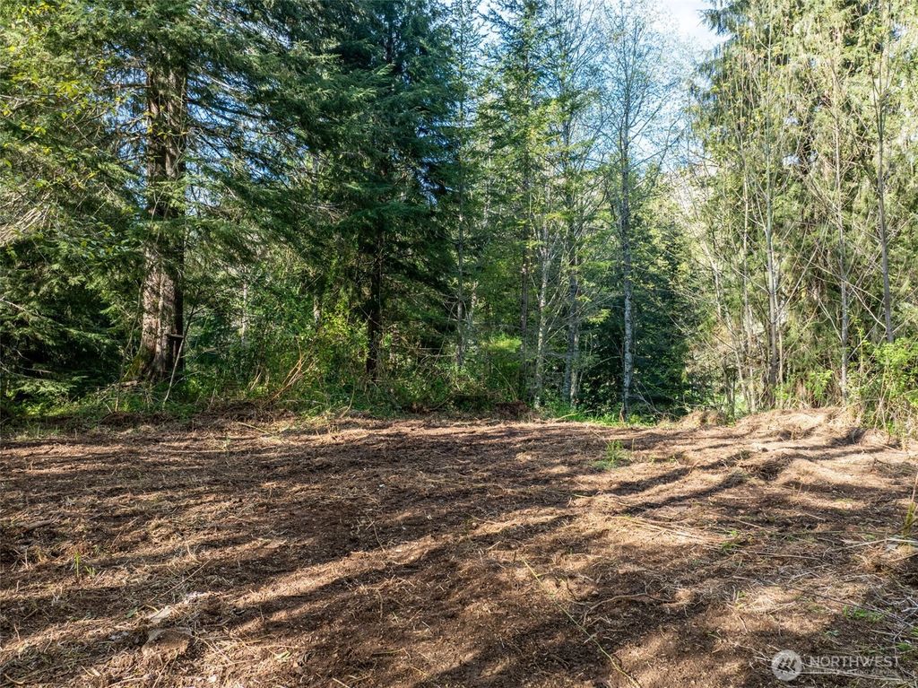 Photo of 0 Davis Lake Road, Morton, WA 98356 (MLS # 2510938)