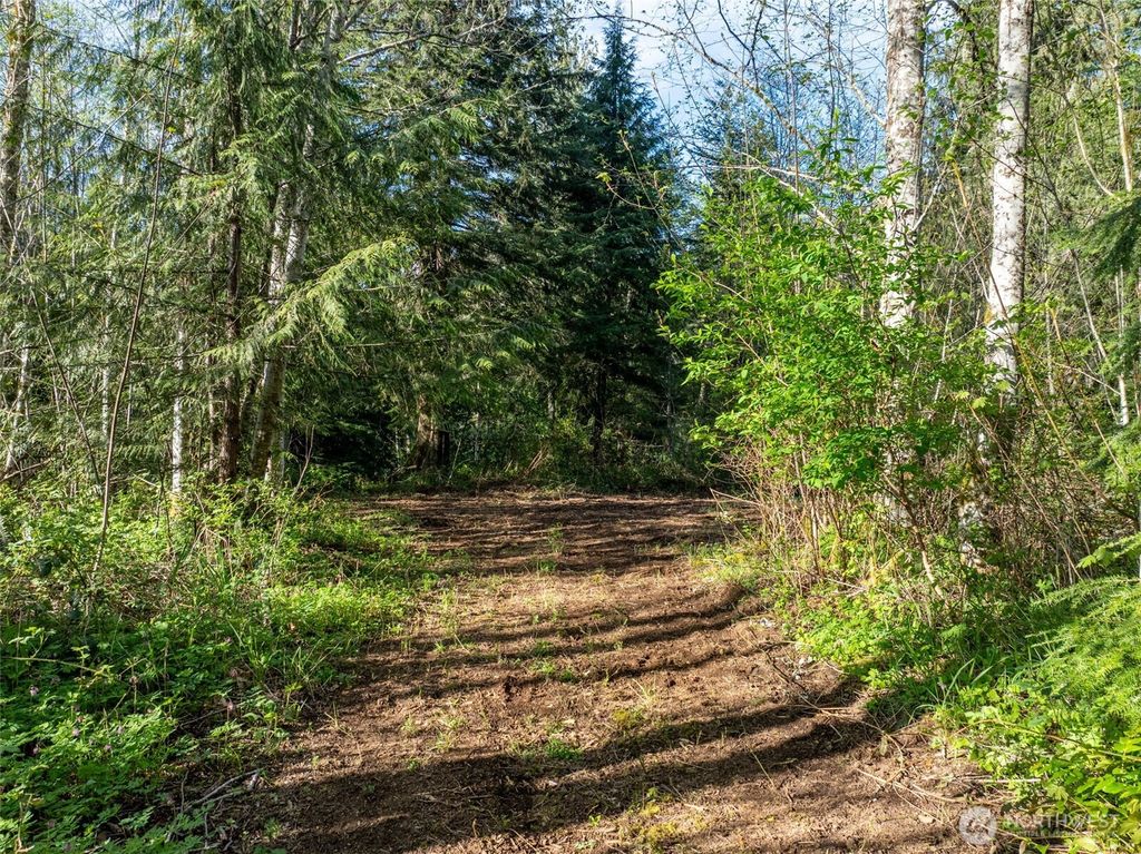 Photo of 0 Davis Lake Road, Morton, WA 98356 (MLS # 2510938)