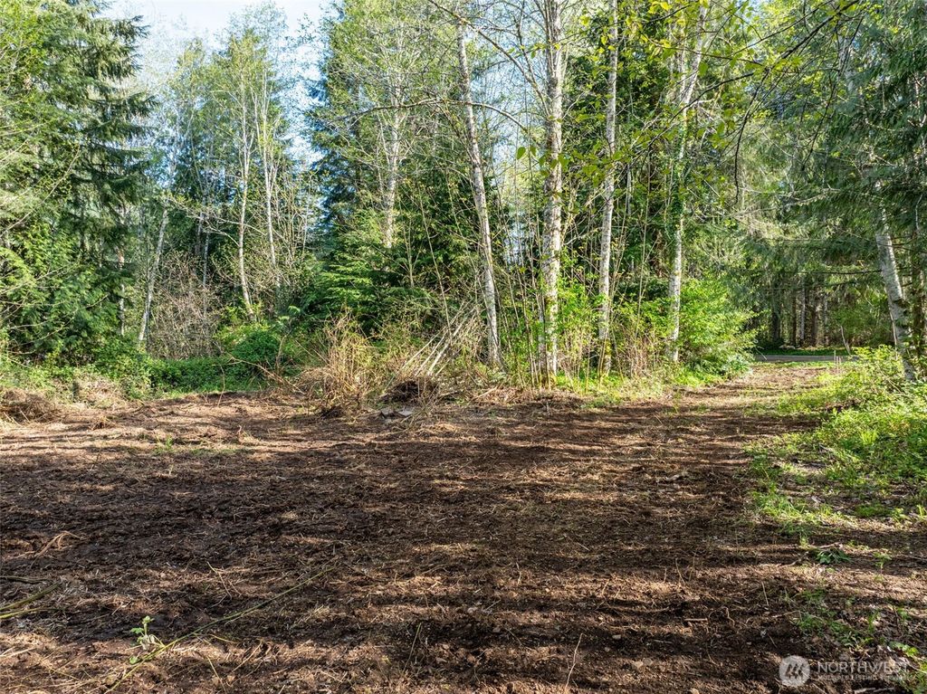 Photo of 0 Davis Lake Road, Morton, WA 98356 (MLS # 2510938)
