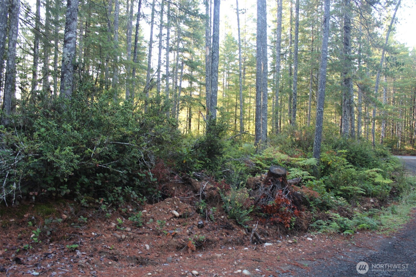 3511 NE Tahuya Blacksmith Rd