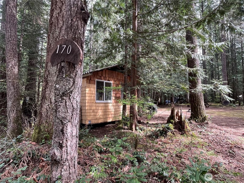 Photo of 170 N Mount Washington Drive, Hoodsport, WA 98548 (MLS # 2497374)