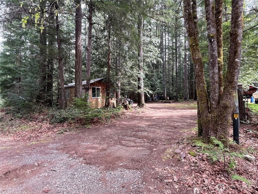 Photo of 170 N Mount Washington Drive, Hoodsport, WA 98548 (MLS # 2497374)