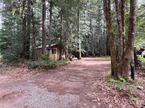 Photo of 170 N Mount Washington Drive, Hoodsport, WA 98548 (MLS # 2497374)