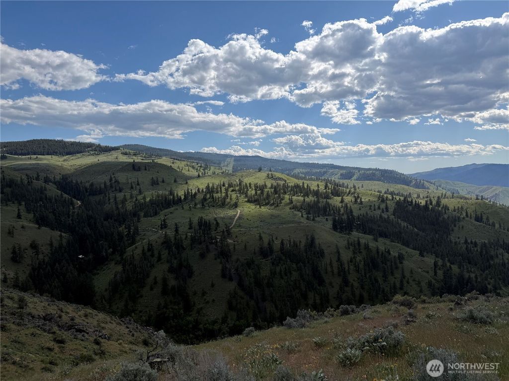 Photo of 0 Tyee View Loop, Waterville, WA 98858 (MLS # 2518258)