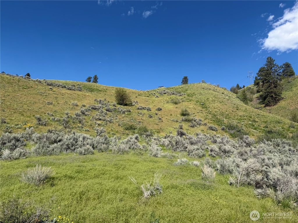 Photo of 0 Tyee View Loop, Waterville, WA 98858 (MLS # 2518258)