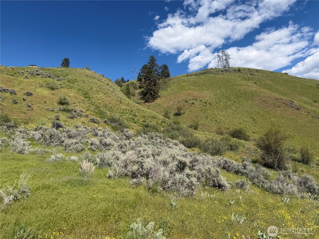 Photo of 0 Tyee View Loop, Waterville, WA 98858 (MLS # 2518258)