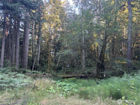 Photo of 28222 143rd Avenue SW, Vashon, WA 98070 (MLS # 2560862)