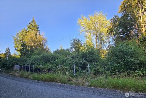 Photo of 236 Porter Creek Road, Elma, WA 98541 (MLS # 2560877)