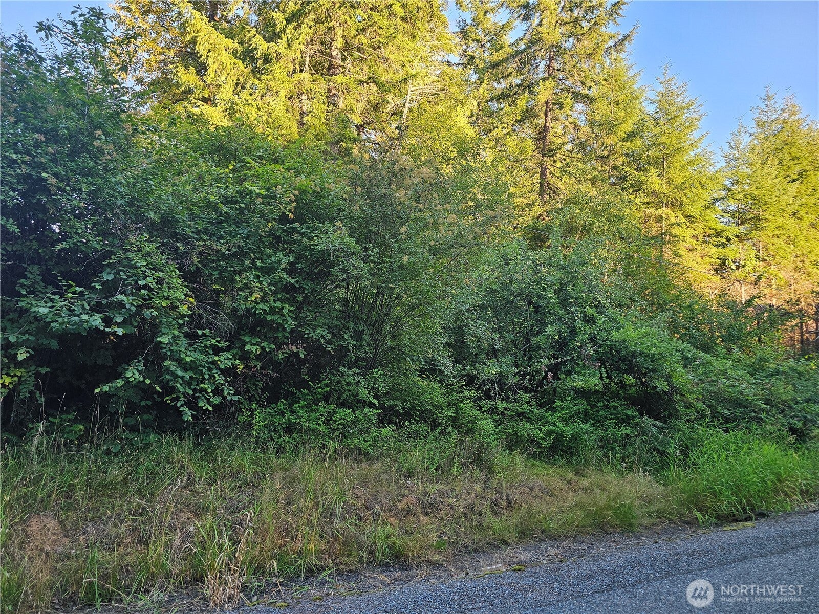 236 Porter Creek Road