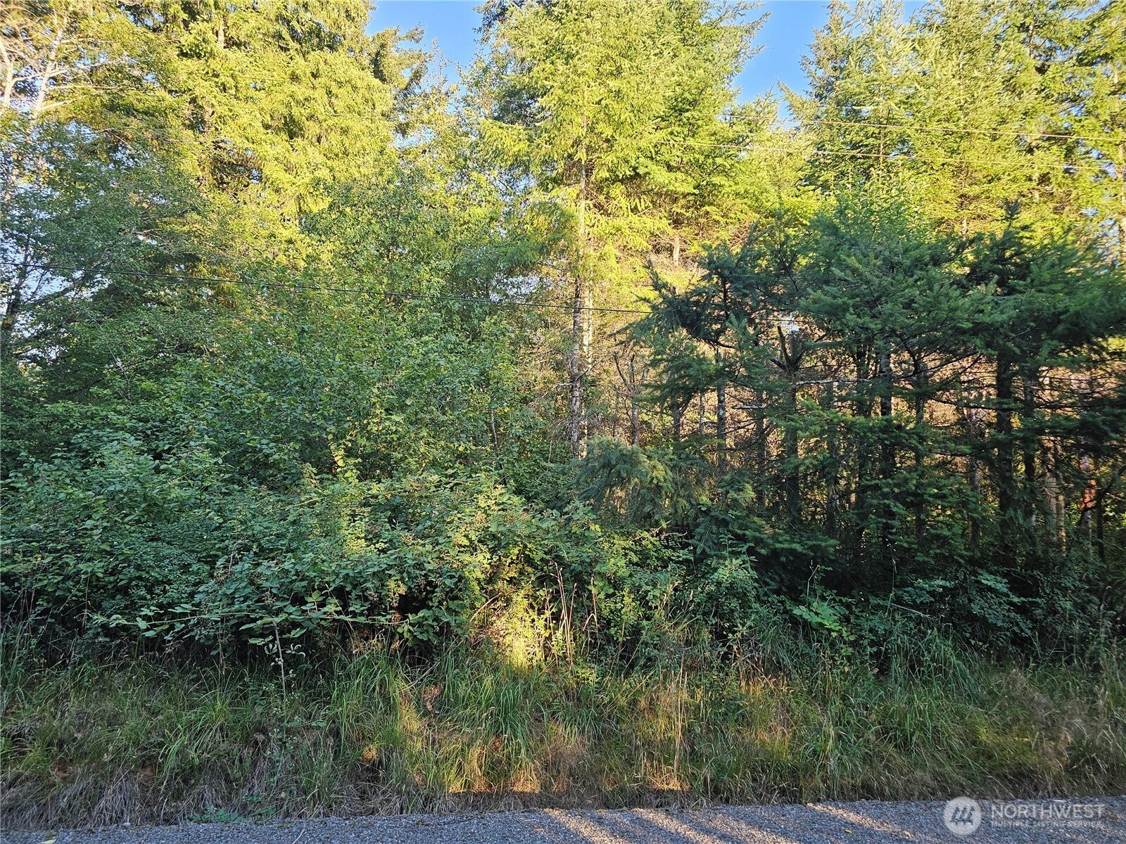 236 Porter Creek Road