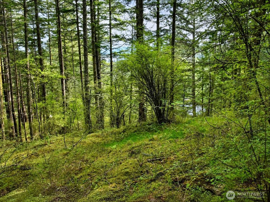 Photo of 0 XXX Garden Lane, Orcas Island, WA 98279 (MLS # 2521336)