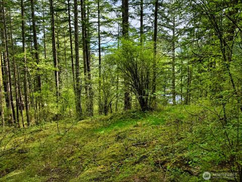 Photo of 0 XXX Garden Lane, Orcas Island, WA 98279 (MLS # 2521336)