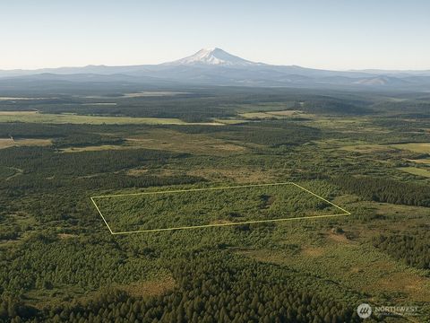 981 W Homer Adams Road Elma WA 98541