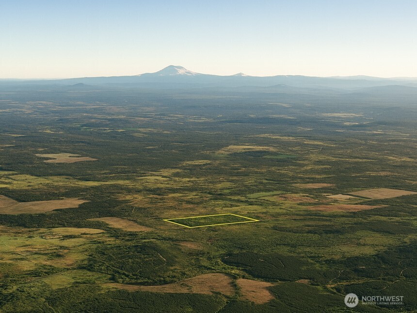 981 W Homer Adams Road