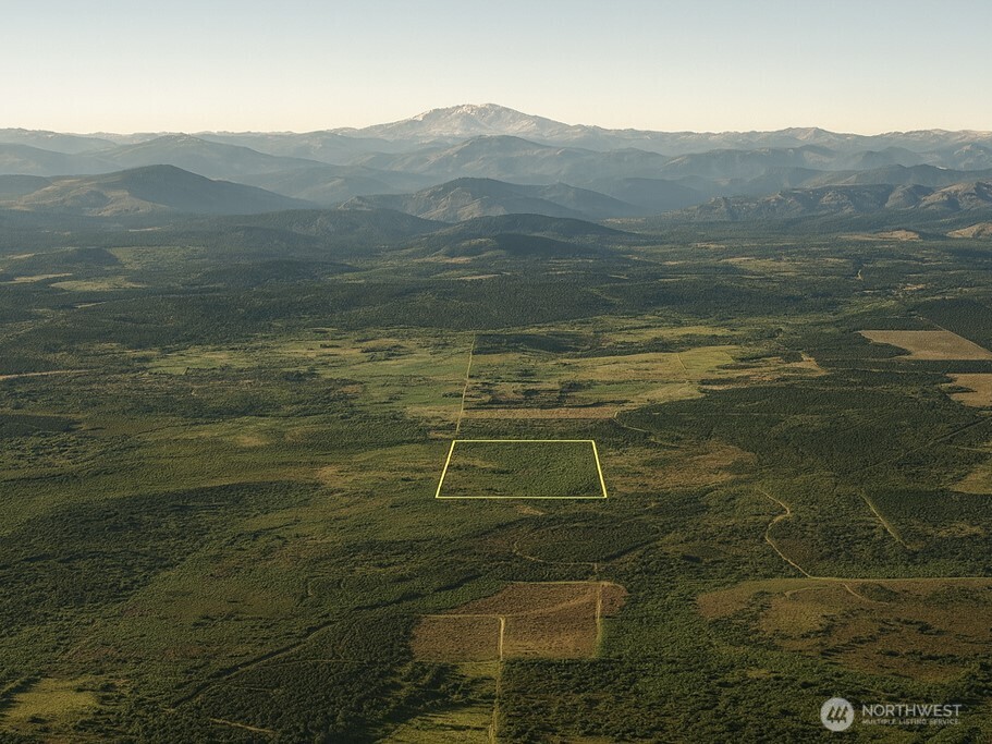 981 W Homer Adams Road