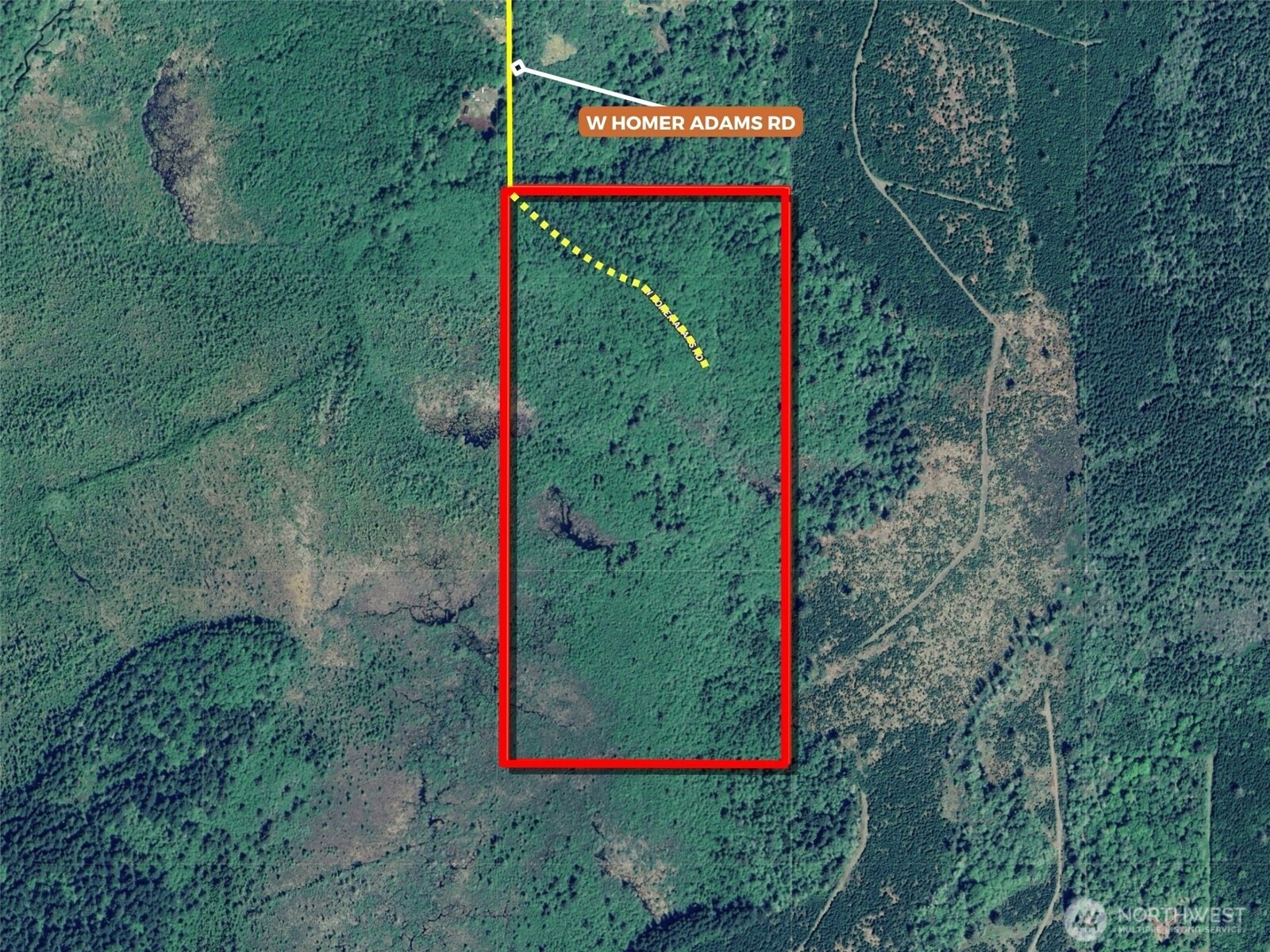 981 W Homer Adams Road