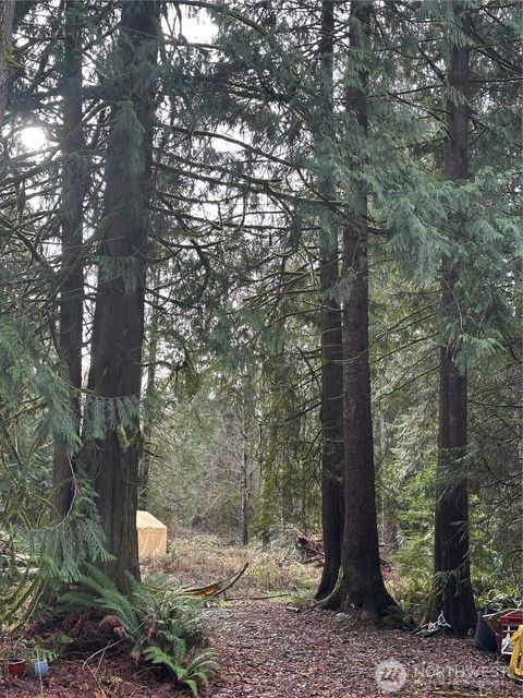 Photo of 13420 74th Street NE, Lake Stevens, WA 98258 (MLS # 2515085)