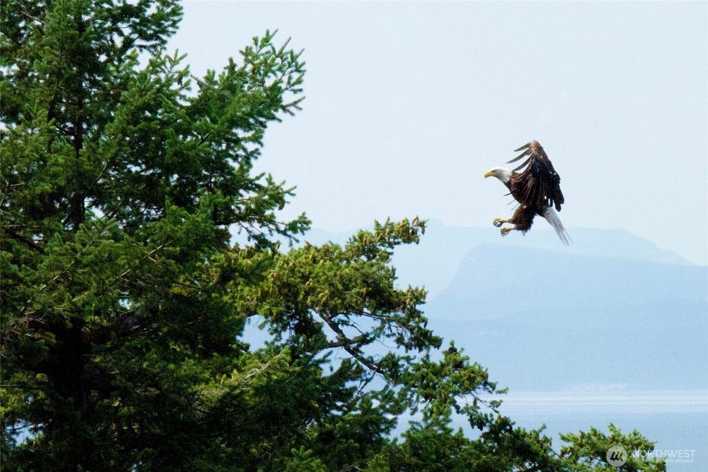 Photo of 385 Karen Lane, Orcas Island, WA 98245 (MLS # 2492998)