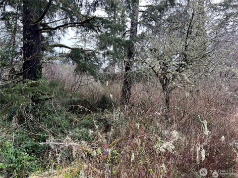 Photo of 0 X 102nd Place, Long Beach, WA 98631 (MLS # 2538859)
