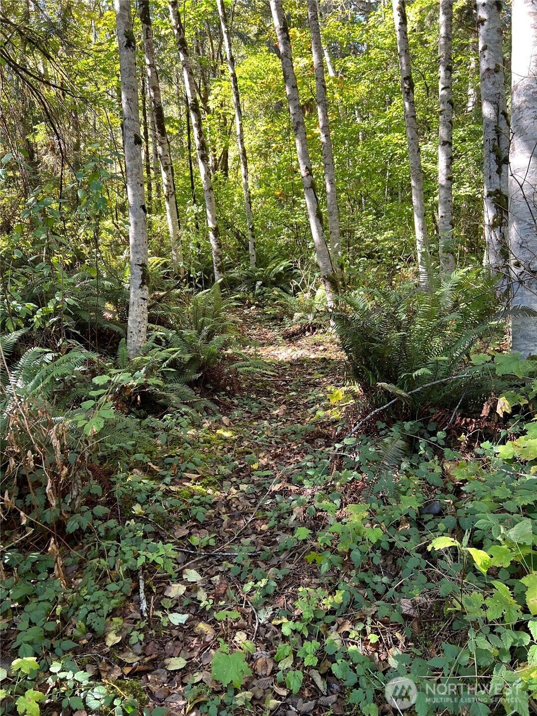 0 Clear Creek Road