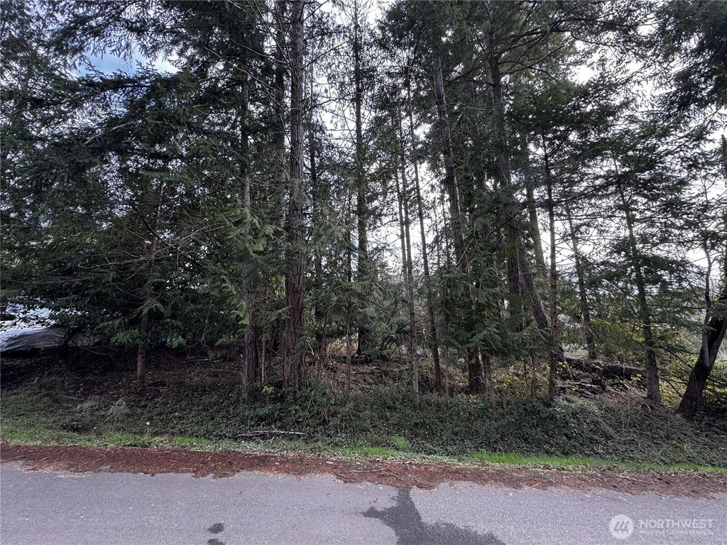 Photo of 9810 Channel Drive NW, Olympia, WA 98502 (MLS # 2483533)