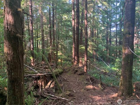 Photo of 4 Tract Parpala Road, Naselle, WA 98638 (MLS # 2357255)