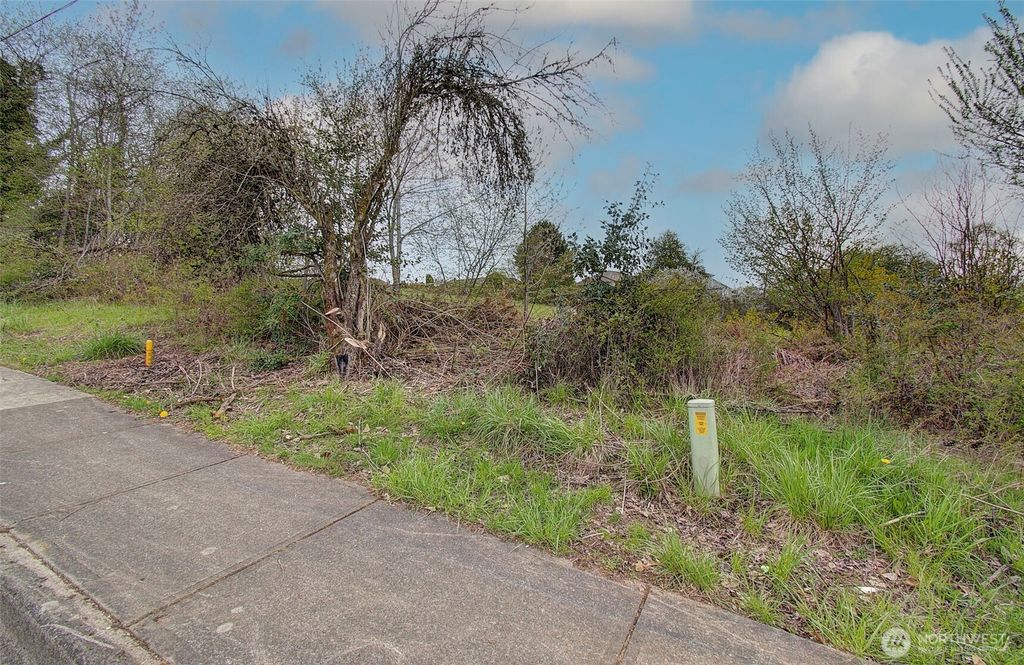 Photo of 1319 Aspen Avenue, La Center, WA 98629 (MLS # 2478999)