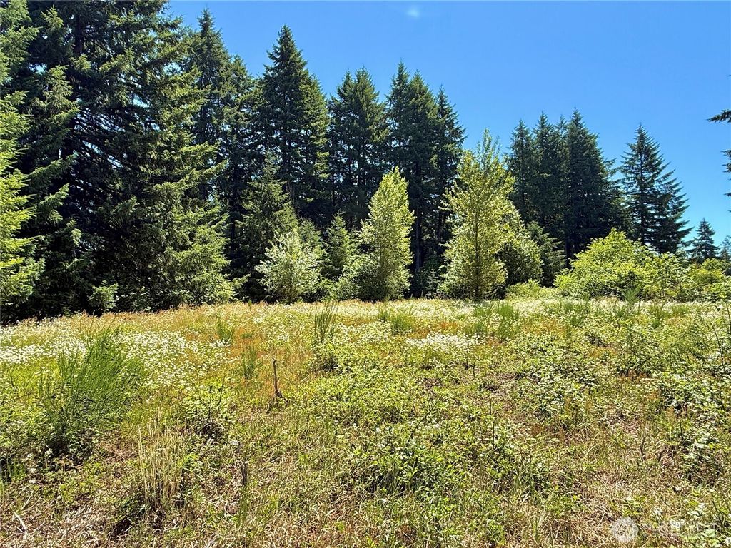 Photo of 127 Sawall #H, Centralia, WA 98531 (MLS # 2505491)
