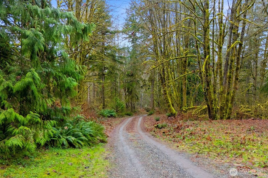 Photo of 9355 Adams Drive, Concrete, WA 98237 (MLS # 2490044)