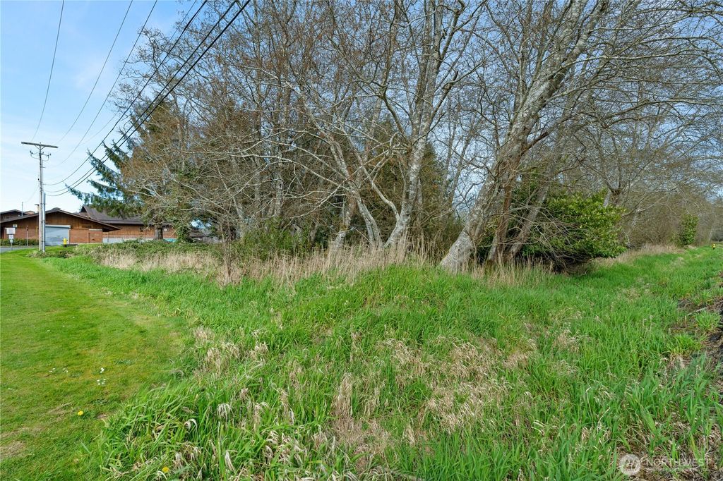 Photo of 0 0X E Harriman Street, Aberdeen, WA 98520 (MLS # 2502469)