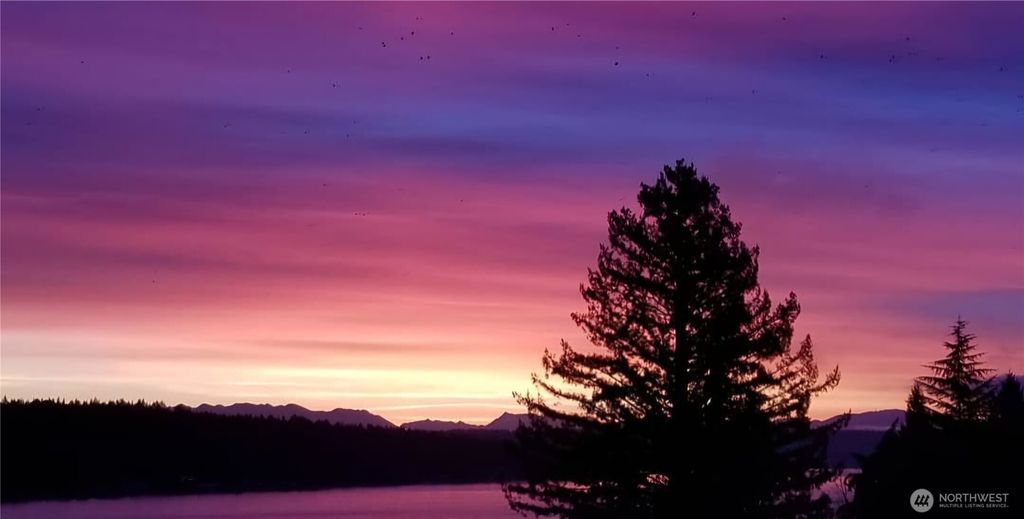 Photo of 12725 42nd Avenue NE, Seattle, WA 98125 (MLS # 2487030)