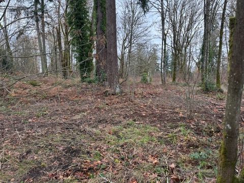 Photo of 36836 52ND Avenue S #JK, Auburn, WA 98001 (MLS # 2457236)