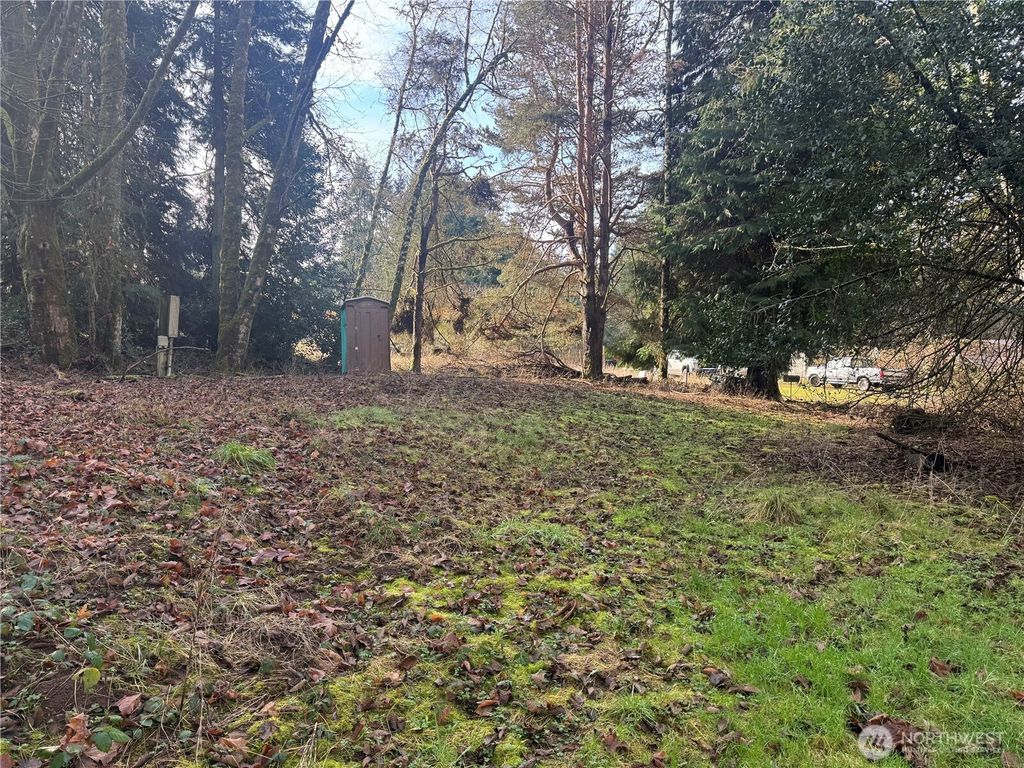 Photo of 106 Olequa Place, Vader, WA 98593 (MLS # 2490463)