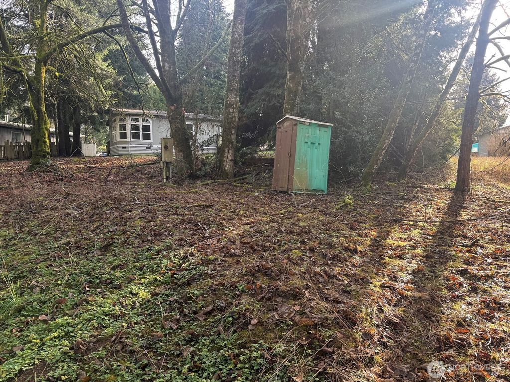 Photo of 106 Olequa Place, Vader, WA 98593 (MLS # 2490463)