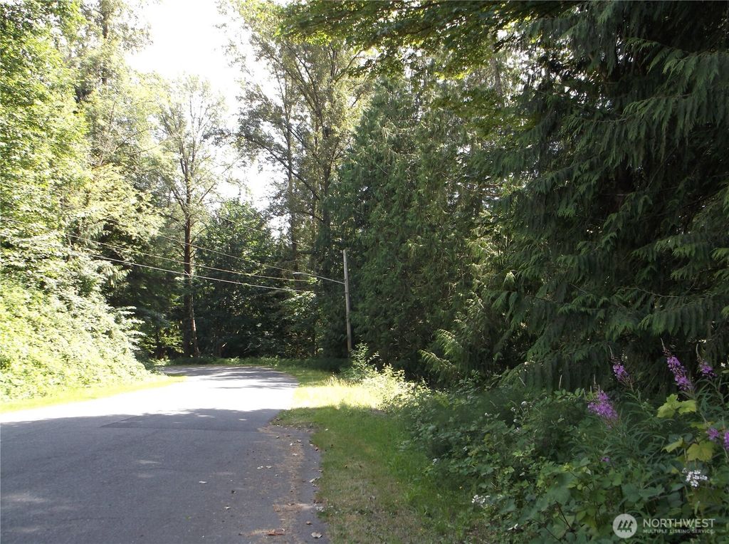 Photo of 18012 123rd Place NE, Arlington, WA 98223 (MLS # 2485774)