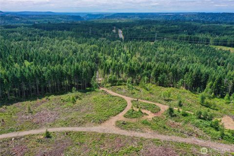 0 AP Tubbs Road Carbonado WA 98323