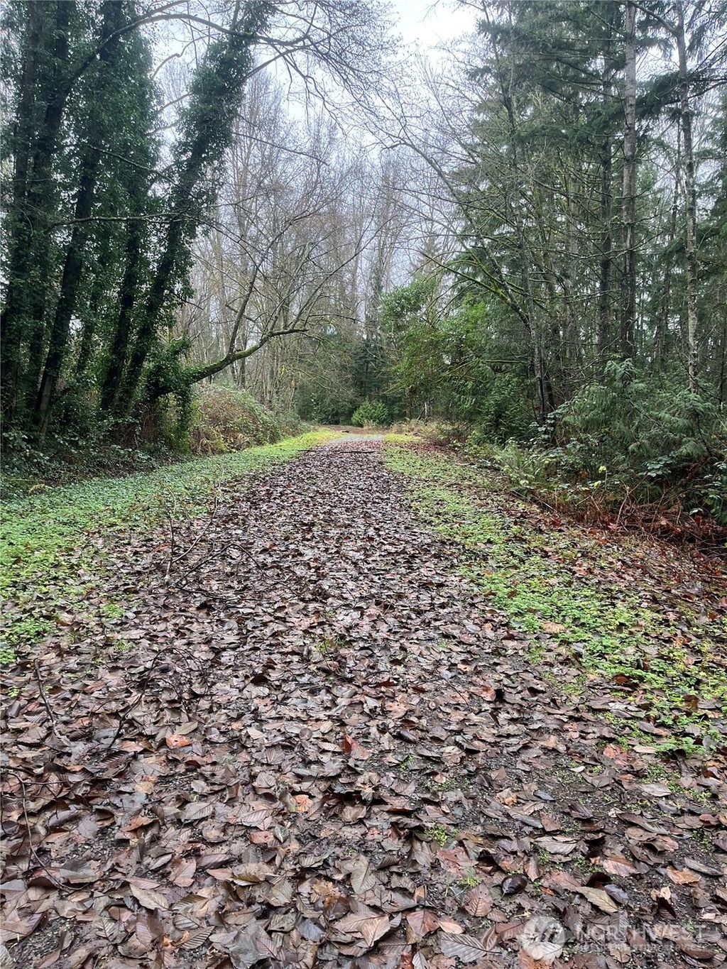 Photo of 888 S 158th Street, Tukwila, WA 98188 (MLS # 2456050)