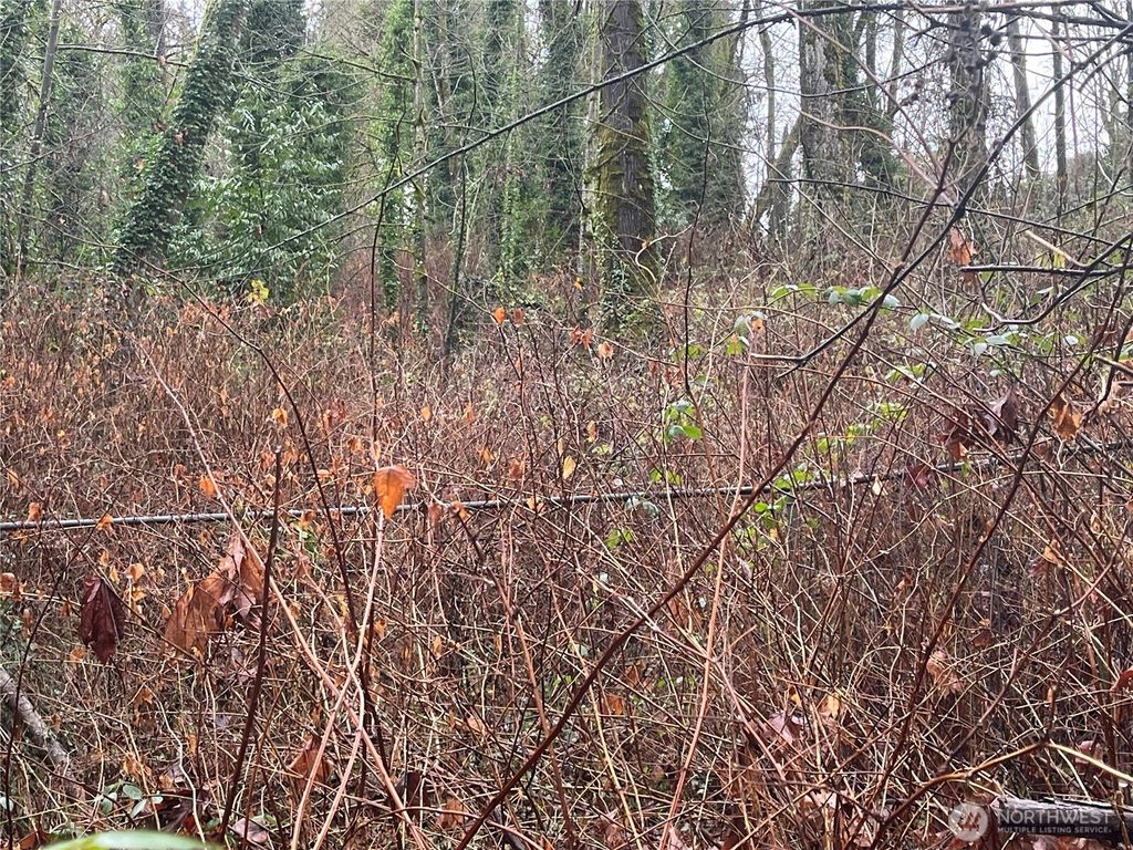 Photo of 888 S 158th Street, Tukwila, WA 98188 (MLS # 2456050)