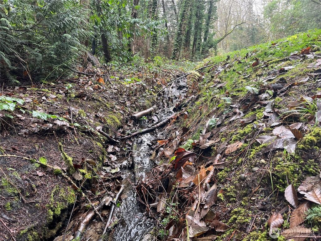 Photo of 888 S 158th Street, Tukwila, WA 98188 (MLS # 2456050)