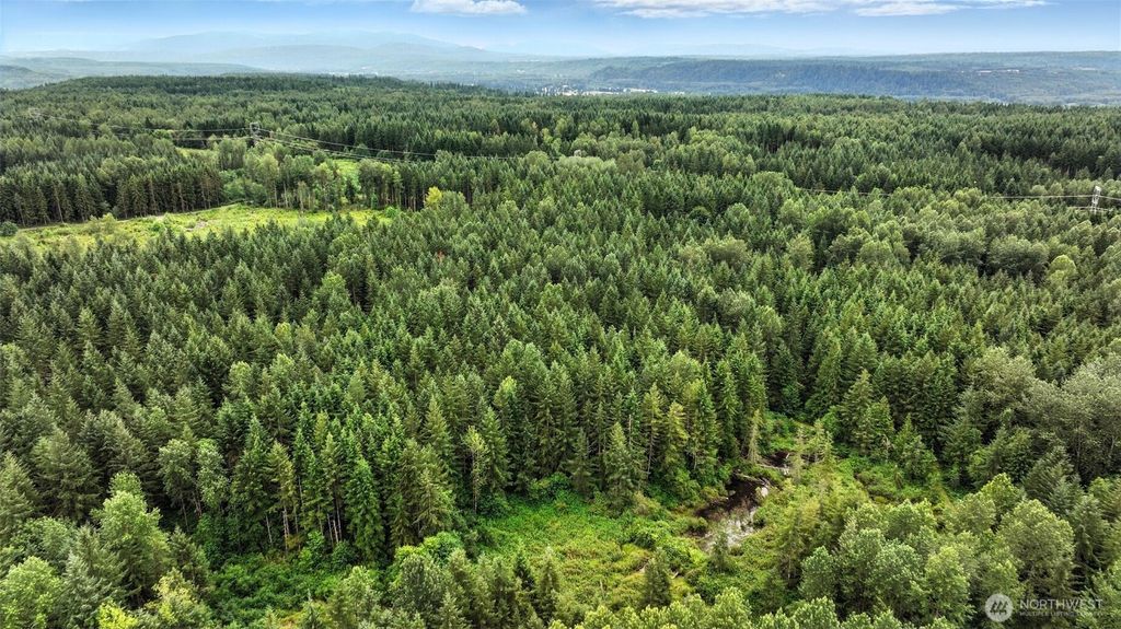 Photo of 344 XX 102nd Way NE, Carnation, WA 98014 (MLS # 2503639)