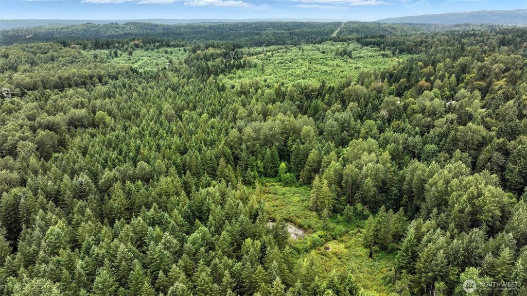 Photo of 344 XX 102nd Way NE, Carnation, WA 98014 (MLS # 2503639)