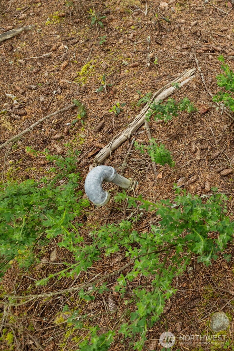 226 S Oyster Bay Ave