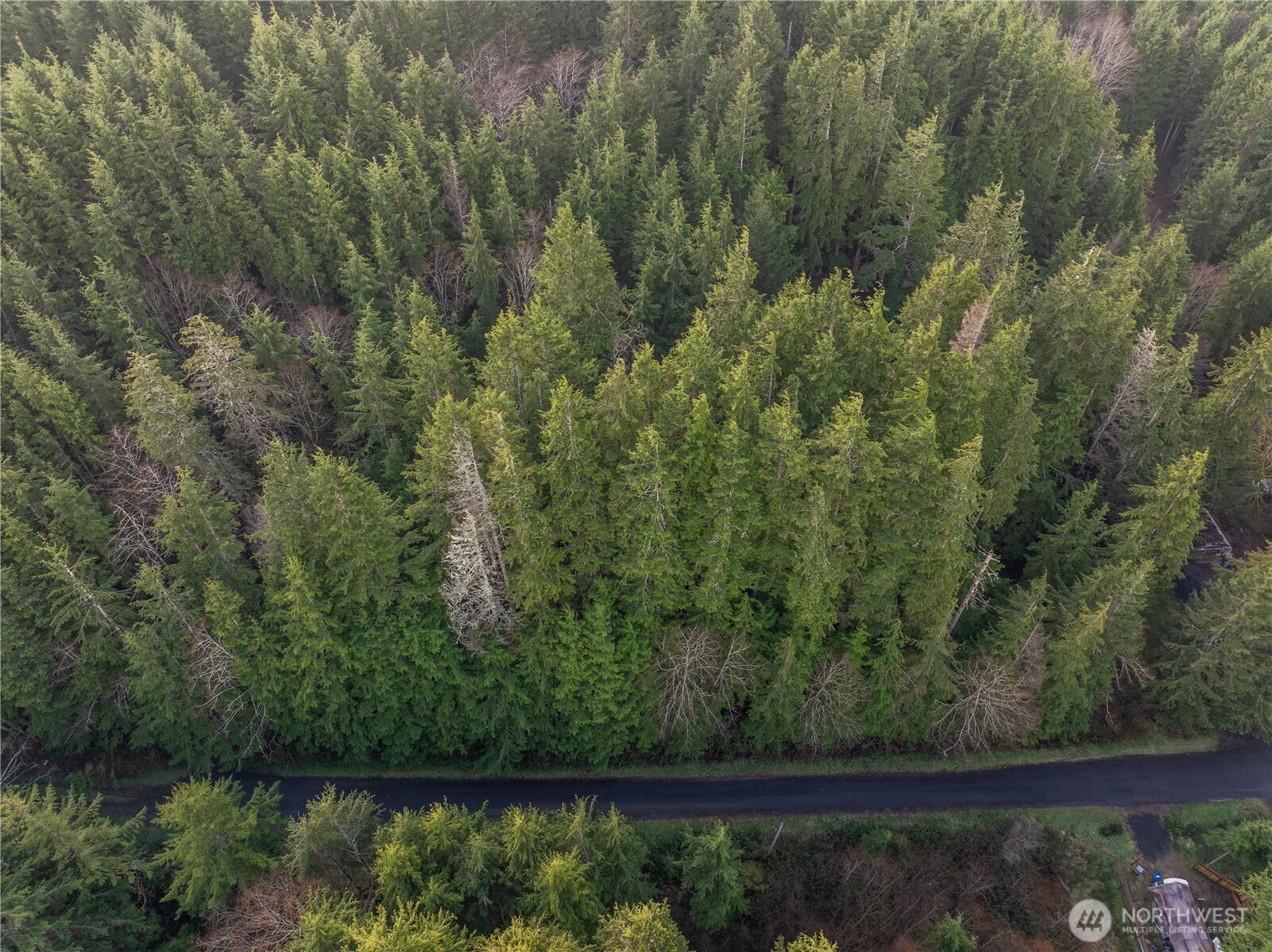 0 Salal Drive