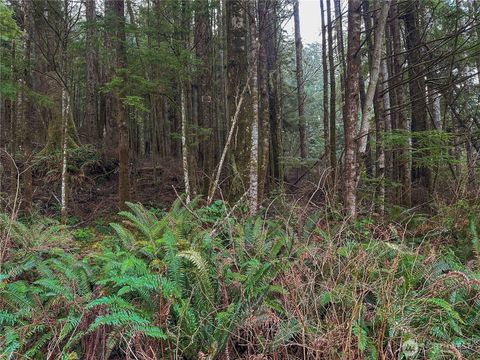 0 Salal Drive Copalis Beach WA 98535