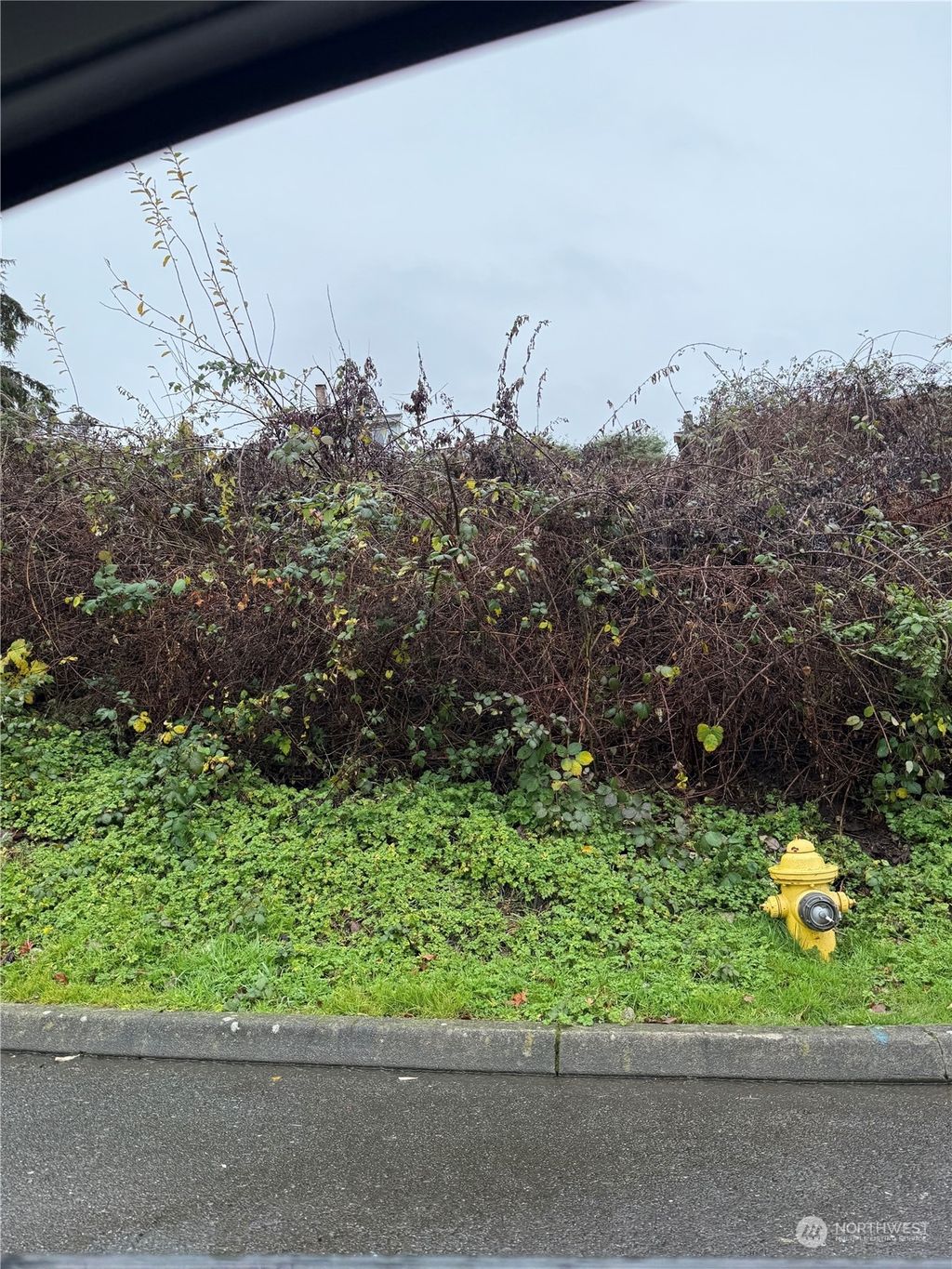 Photo of 0 Tax Parcel 00536900003900, Mukilteo, WA 98275 (MLS # 2318384)