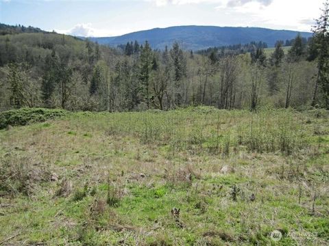Photo of 470 Italian Creek Road, Kalama, WA 98625 (MLS # 2515527)