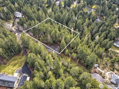 Photo of 161 E Lexington Place, Shelton, WA 98584 (MLS # 2478168)